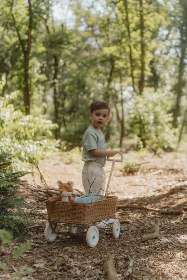 Suitcases Forest Friends FSC